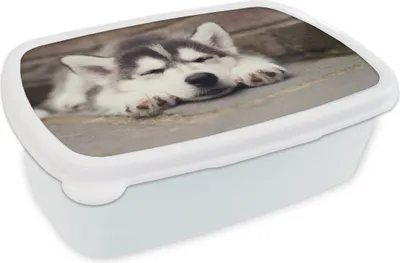 Produktbild von KitchenYeah® Lunchbox Brotzeit Brotdose 17x11 cm Husky-Welpe schläft Kinder Brotzeitdose - Lunch Box - Kinder - Sandwich-Box - Schulbox - Lunch Boxen