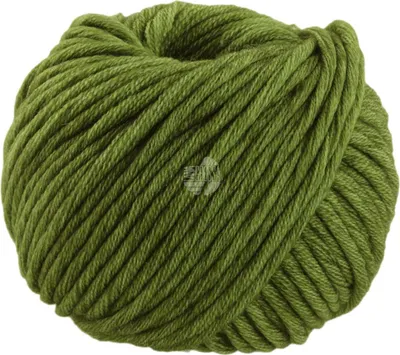 Produktbild von Lana Grossa - Vintage Superchunky 0507 apfelgrün