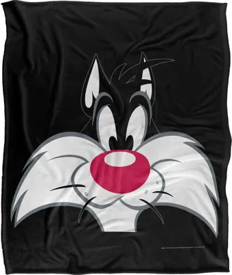 Immagine prodotto di Looney Tunes - Coperta TV18719 (taglia unica) (colorata)