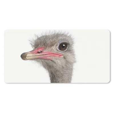 Produktbild von MuchoWow® Schreibtischunterlage Strauß - Tiere - Kinder - Jungen - Mädchen - Vogel 80x40 cm - XXL Mauspad - Gaming Mauspad
