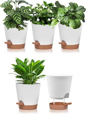 Produktbild von Set aus 5 Kräuterpflanzkästen, selbstwassend, 15 cm selbstwassende Pflanzkiste mit Unterteller, Kräuterpflanzkästen mit Bewässerungssystem für Kräutergarten, Küche, Balkon, Garten, Innenbereich