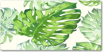 Produktbild von Tulup® Glas-Bild - 100x50 -Wandkunst - Wandbild hinter gehärtetem Sicherheitsglas  - Blumen & Pflanzen - Tropische Blätter - Grün