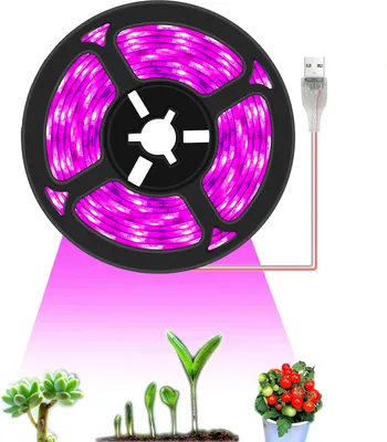 A close-up of a roll of purple LED grow lights with a USB connector, casting a pink glow on a series of plant seedlings in different stages of growth, a small succulent, and a potted plant with red tomatoes.