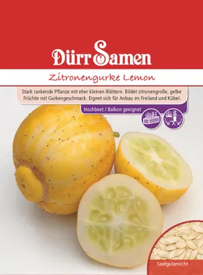 Artikelbild 1 von 'Zitronengurke Lemon' aus der Kategorie Gemüsesamen