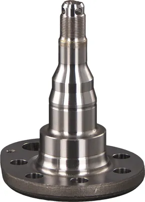 Produktbild von FEBI BILSTEIN Achszapfen 18348 Hinten Rechts für VW GOLF III (1H1) 0,81kg