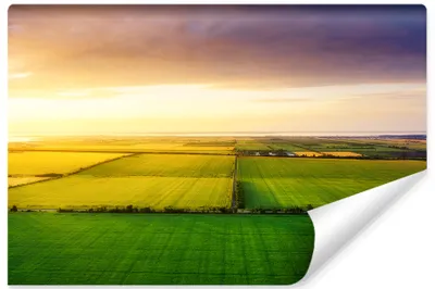 Produktbild von Muralo XXL Vlies FOTOTAPETE FELD Gruen Landschaft 3D Effekt (B) 405 cm x (H) 270 cm Tapete Wandtapete WOHNZIMMER SCHLAFZIMMER 4598