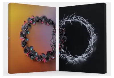 Immagine prodotto di Dual - Edizione Deluxe - Versione "Dusk" - Include una foto