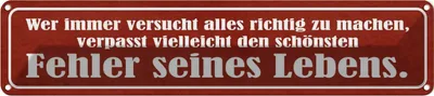 Produktbild von vianmo Blechschild 10x46 cm schönster Fehler seines Lebens Dekoration Spruch Zitat