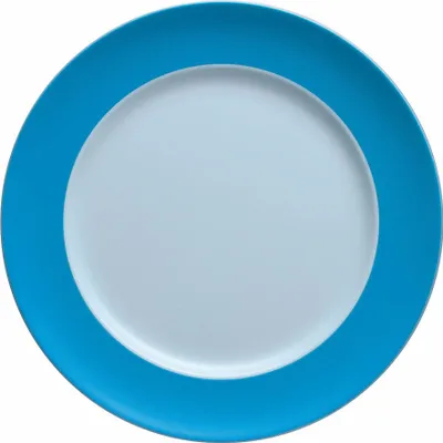 Produktbild von Thomas 10850-408530-10227, Porzellan, Sunny Day, 270 mm