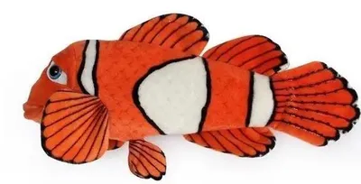 Productafbeelding van Ryba błazenek, 45 cm - Dubi