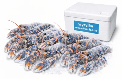 Zdjęcie produktu dla Langustynki mrożone 17/20 700 g Seacon