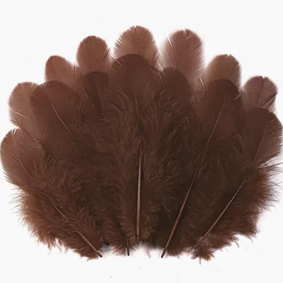 300 braune Bastelfedern 7,6–12,7 cm für DIY