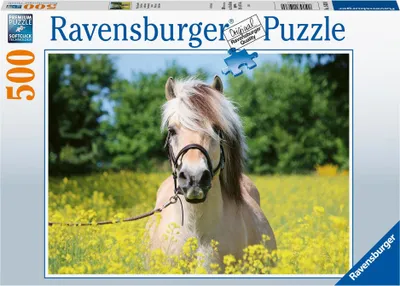 Produktbild von Pferd im Rapsfeld Ravensburger 15038