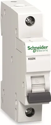 Immagine prodotto di SCHNEIDER ELECTRIC Interruttore automatico SCHNEIDER A9K02116, C, 16A