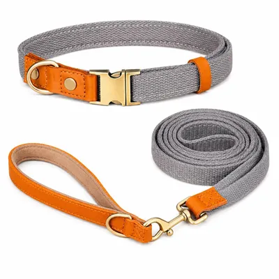 Produktbild von Hundeleine & Halsband Set aus Nylon mit Leder – robust, hochwertig, 1,5 m Leine – für kleine & große Hunde 7 Farben verfügbar grau Größe M