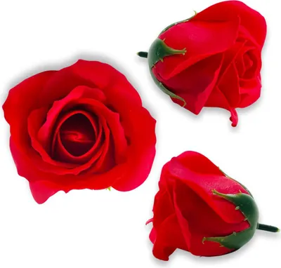 Image de Fleur de savon rouge pour la décoration et le bricolage