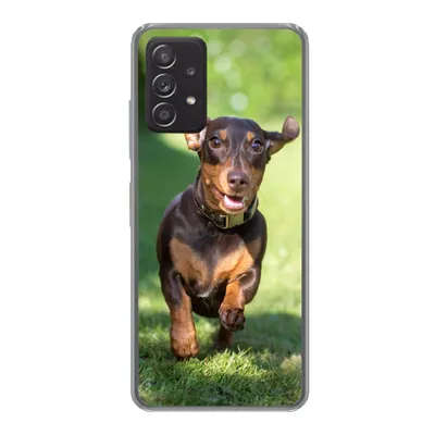 Produktbild von MuchoWow® Handyhülle Schutzhülle Hülle für Samsung galaxy a73 Ein sprintender Dackel Silikon Softcase Handy Hülle - Handyhülle