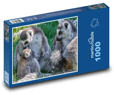 Produktbild von Puzzle 1000 Lemurenfamilie mit Jungem - martinpuzzle