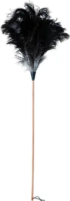 Produktbild von Redecker Straußenwedel, groß, 110 cm Gesamtlänge