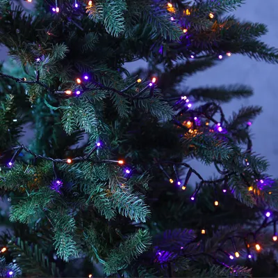Produktbild von LED Lichterkette Compact Twinkle - 750 lila-/orange LED - L: 16m - 8 Funktionen - Timer - Außentrafo