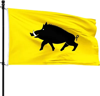 Imagen del producto de Banderas municipales de Evergem, 90 x 150 cm, de poliéster, para asta de bandera