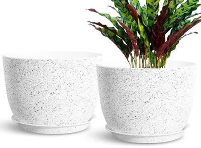 Image de Bacs à plantes Durable - durables et élégants - lot de 2 - 30 cm - polypropylène