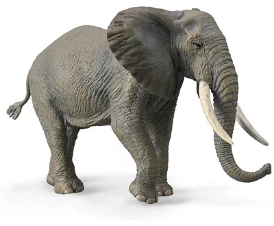 Immagine prodotto di Collecta Figūrėlė Afrikinis dramblys (XL)