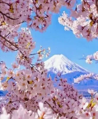 Produktbild von Diamantmosaik "Berg Fuji mit Kirschblüte", 30x40 cm, kreative Diamantmalerei