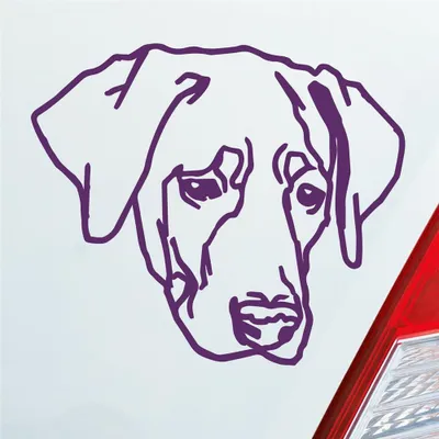 Produktbild von Auto Aufkleber Labrador Labi Labbi Hund Dog 12x10 cm Lila Sticker Heckscheibenaufkleber