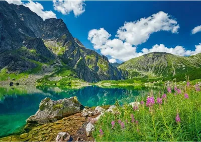 Produktbild von CASTORLAND Puzzle Czarny Staw pod Rysami, Tatra-Region, Polen 500 dlks