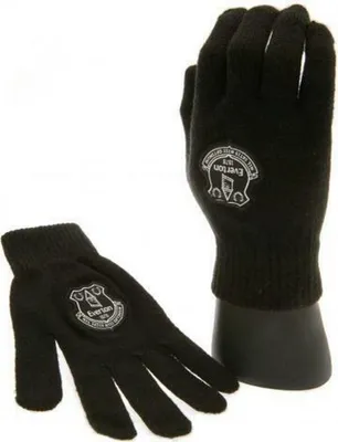 Obrázek produktu pro Everton FC - Rukavice, žerzejová tkanina BS3186 (jedna velikost) (černá)