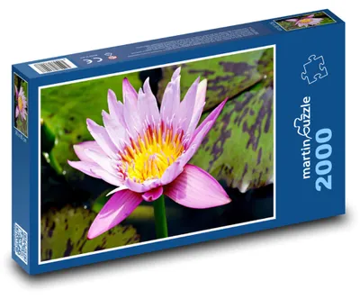 Obrázek produktu pro martinpuzzle - Puzzle 2000 - Květ - leknín