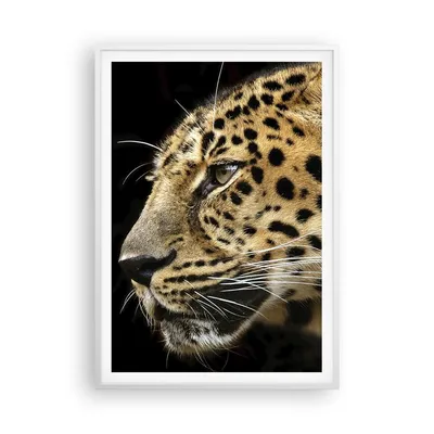 Produktbild von Gerahmtes Poster - Weißer Rahmen - Tiere Leopard wilde Katze wilde Tiere - 70x100 cm - Wand Bild - Wanddeko - Wandbilder - Wandposter - Bilderrahmen - Bilder - Kunstdruck - Wandbild - P2WPA70x100-0433