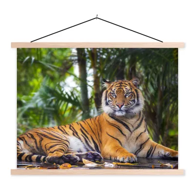 Produktbild von MuchoWow® Textilposter Tiger - Tiere - Wald - Dschungel 60x45 cm mit holzfarbenen Rahmen - Bild