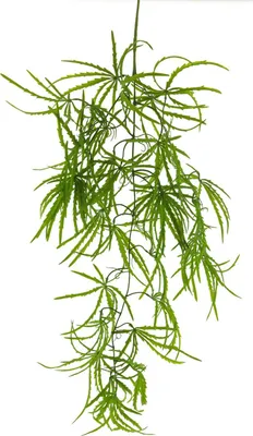 Produktbild von artplants.de Dekozweig Fingeraralie LINTIAN, grün, 105 cm - Künstlicher Blätterzweig