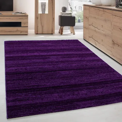 Produktbild von Wohnzimmerteppich oder moderner Jugendteppich mit kurzem Flor, Lila 120 x 170 cm
