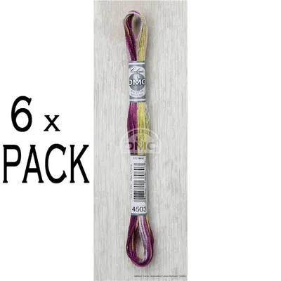 Obrázok produktu pre 6x DMC vyšívacia niť Mouline Coloris 517 -4503, 6 vrstiev, 8 m, PU