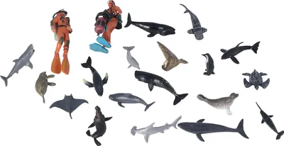 Image de Modèle de figurines d'animaux marins,Modèle de figurines d'animaux marins,Modèle de figurines de mer,Modèle de décoration de figurines de mer,Jouet de créatures de mer réalistes,Jouet de figurines de vie marine