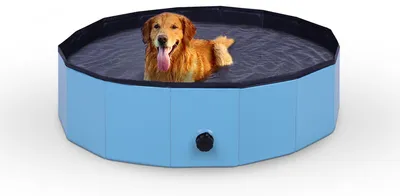 Image de Piscine pour chiens Ø120x30cm