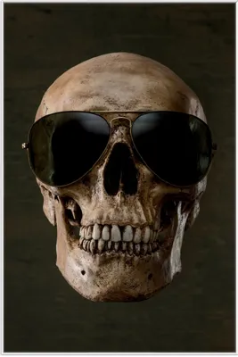Produktbild von Wallario Wandbild Totenschädel mit cooler Sonnenbrille, Größe: 61 x 91,50 cm, Poster mit weißem Aluminiumrahmen