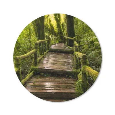 Produktbild von MuchoWow® Mauspad Mousepad Schöner Regenwald und Dschungel 40x40 cm - Mousepads - Maus Mat - Pad - Mausunterlage - Schreibtisch Accessoires