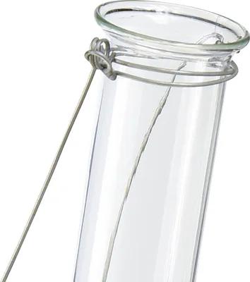 Produktbild von Reagenzglas gebördelt mit Henkel Glas 2,5x12cm klar transparent
