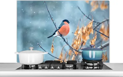 Produktbild von KitchenYeah®  Spritzschutz Küche - Küchenrückwand - Wandschutz für Herd und Spüle - Schnee - Vogel - Tier 100x65 - Alu-Dibond (Alternative zum Spritzschutz aus Glas) - Hitzebeständig - Herdspritzschut