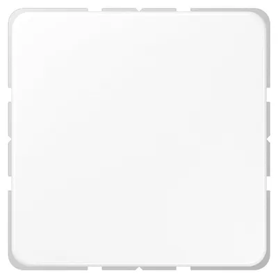 Obrázok produktu pre Jung blind cover aws compl. s podporným krúžkom CD 594-0 WW