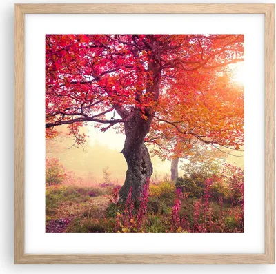 Produktbild von Gerahmtes Poster - Rahmen in heller Eiche - Baum Natur Wiese - 40x40 cm - Wand Bild - Wanddeko - Wandbilder - Kunstposter - Wandposter - Bilderrahmen - Bilder - Kunstdruck - Wandbild - P2NAC40x40-3658