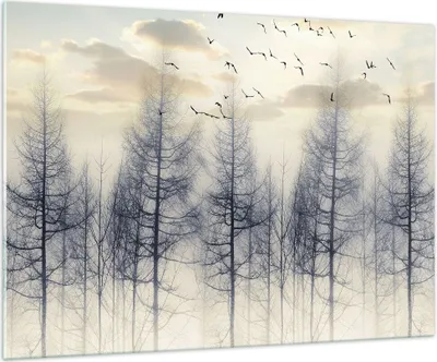 Produktbild von Bilder auf glas - Einteilig - Bäume Vögel Himmel - 100x70cm - Glasbilder - Wandbilder - Bilder - zum Aufhängen bereit - Wanddekoration aus Glas - Glas Bilder - Wandbild auf Glas - GAA100x70-4546