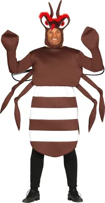 Produktbild von Tierische Karneval Kostüm Flügel Tunika Kapuze Mosquito Abenteuer, Größe: 52 - 54 (L) Farbe: Braun