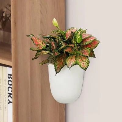 Immagine prodotto di Set di vasi sospesi, 2 pezzi, vasi da fiori in plastica con sistema di auto-irrigazione