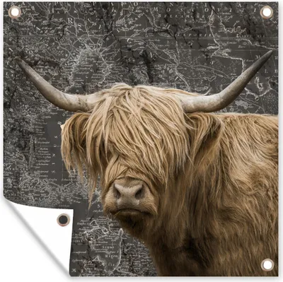 Produktbild von MuchoWow® 50x50 cm Outdoor-Poster Gartendeko Sichtschutz Garten Poster für den Garten  Schottischer Highlander - Weltkarte - Tiere