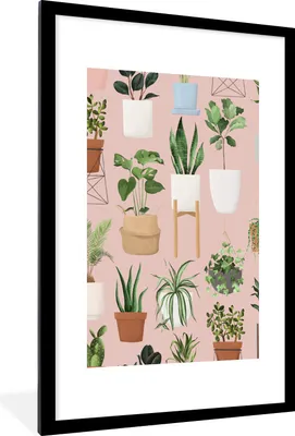 Produktbild von MuchoWow® MuchoWow® Gerahmtes Poster Pflanzen - Blumentopf - Rosa 60x90 cm - Poster mit zchwarzem Bilderrahmen - Dekoration - Wandposter Wohnzimmer - Hochwertig